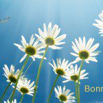 Bonnes vacances
