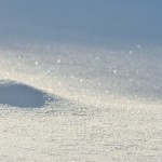 ski