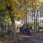ferme pédagogique courrières