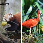 zoo banniere
