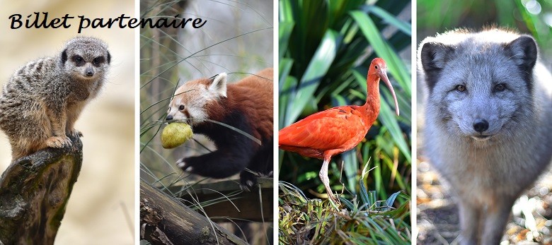 zoo banniere