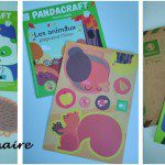 Pandacraft janvier 2019
