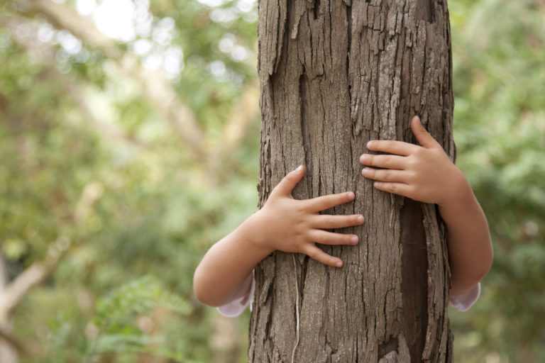 shutterstock_46134457