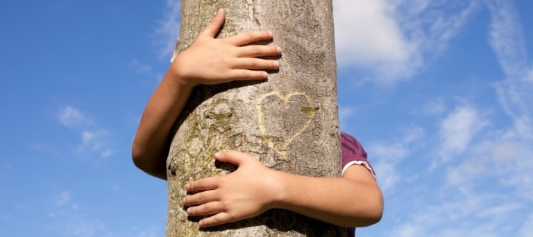 Un arbre dans mon coeurOK