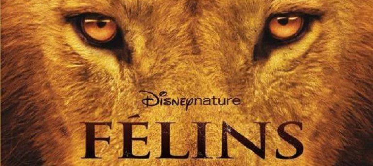 FELINS